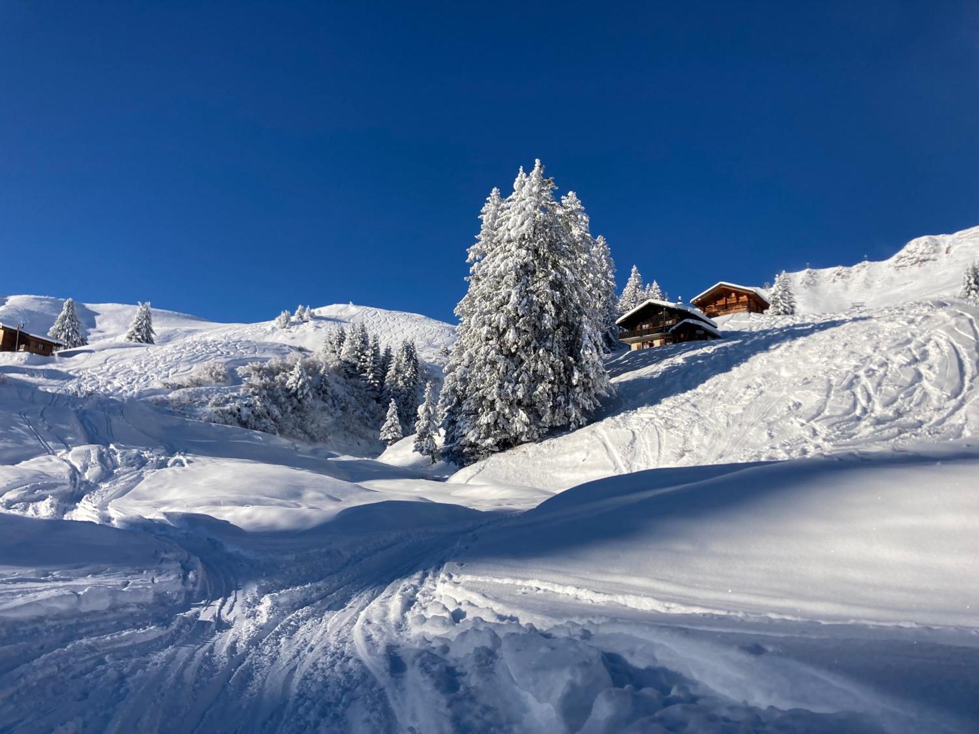 B&B Chalet Rey-Bellet Les Crosets Kültér fotó
