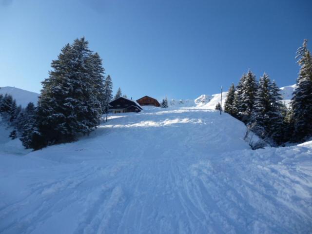 B&B Chalet Rey-Bellet Les Crosets Kültér fotó